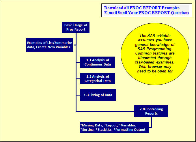 Copy Proc Report example